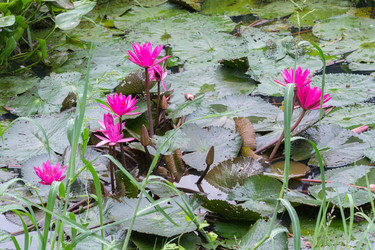 Similar image 8532470