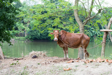 Similar image 8532478