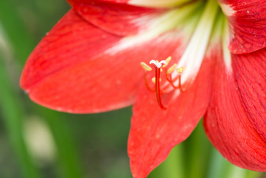 Similar image 8532493