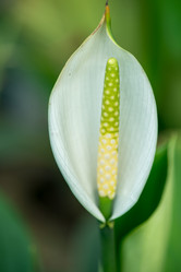 Similar image 8532494