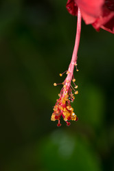 Similar image 8532508