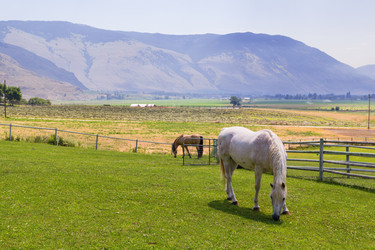 Similar image 8532567