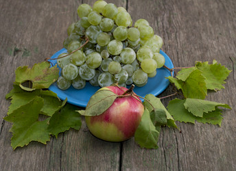 Similar image 8532571