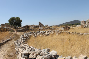 Similar image 8532655