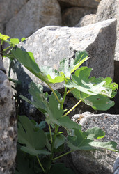 Similar image 8532669