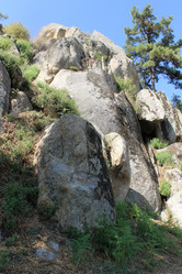 Similar image 8532674