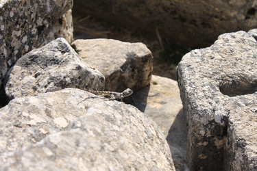 Similar image 8532681