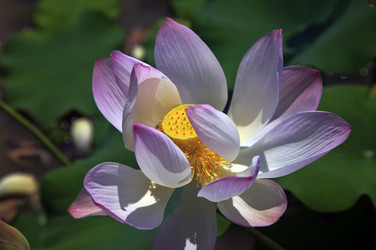 Similar image 8532697