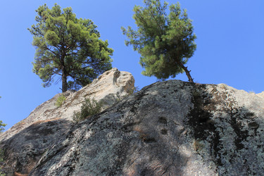 Similar image 8532699