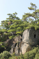 Similar image 8532701