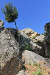 Similar image 8532702