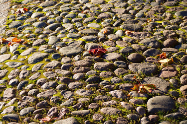 Similar image 8532747