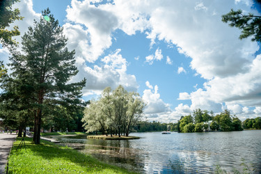 Similar image 8532793