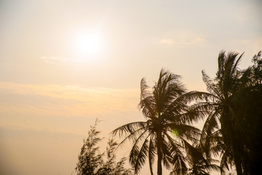 Similar image 8532805