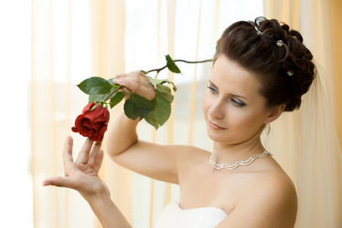 Similar image 8533032