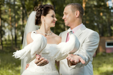 Similar image 8533039