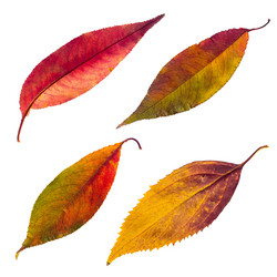 Similar image 8533149