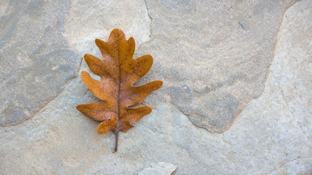 Similar image 8533151