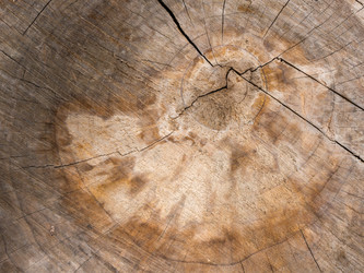 Similar image 8533155