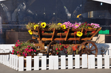 Similar image 8533233