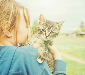 Similar image 8533329