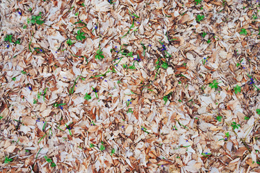 Similar image 8533417