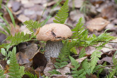 Similar image 8533470