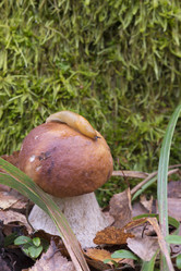 Similar image 8533508