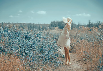 Similar image 8533589