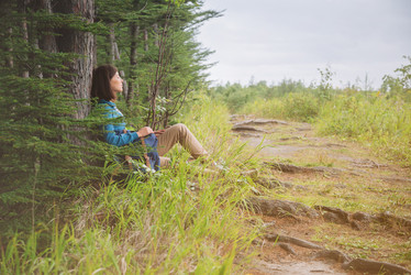 Similar image 8533959