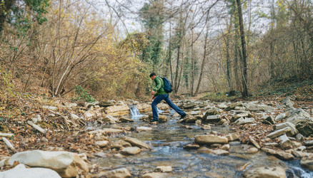 Similar image 8534021