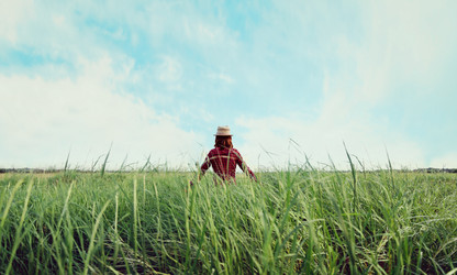 Similar image 8534036