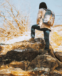 Similar image 8534184