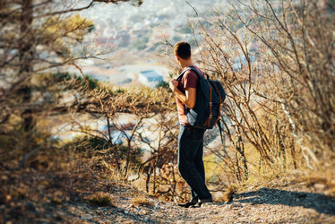 Similar image 8534194