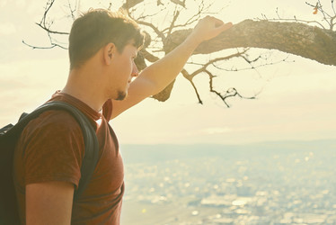 Similar image 8534231