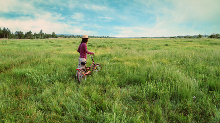 Similar image 8534261