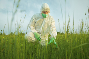 Similar image 8534316