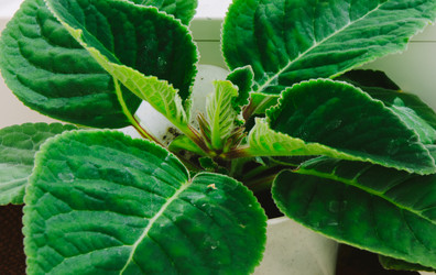 Similar image 8534376