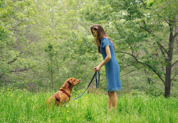 Similar image 8534439