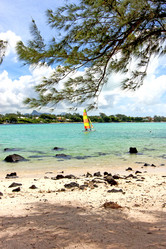 Similar image 8534487