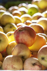 Similar image 8534554