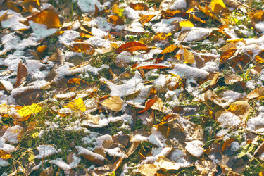 Similar image 8534590