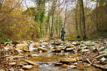 Similar image 8534927