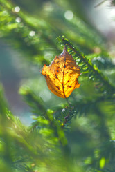 Similar image 8534972