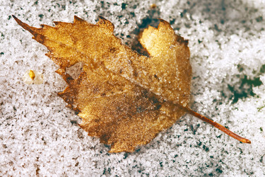 Similar image 8534974