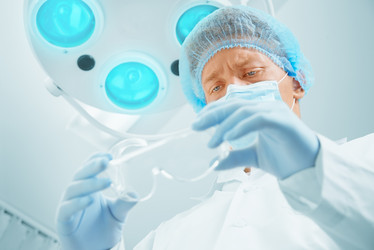 Similar image 8534981