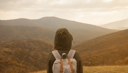 Similar image 8534984