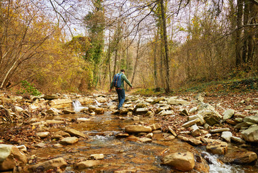 Similar image 8534987