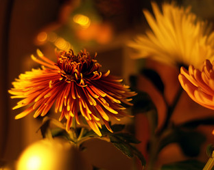 Similar image 8535016