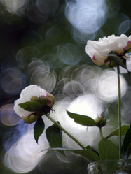 Similar image 8535018